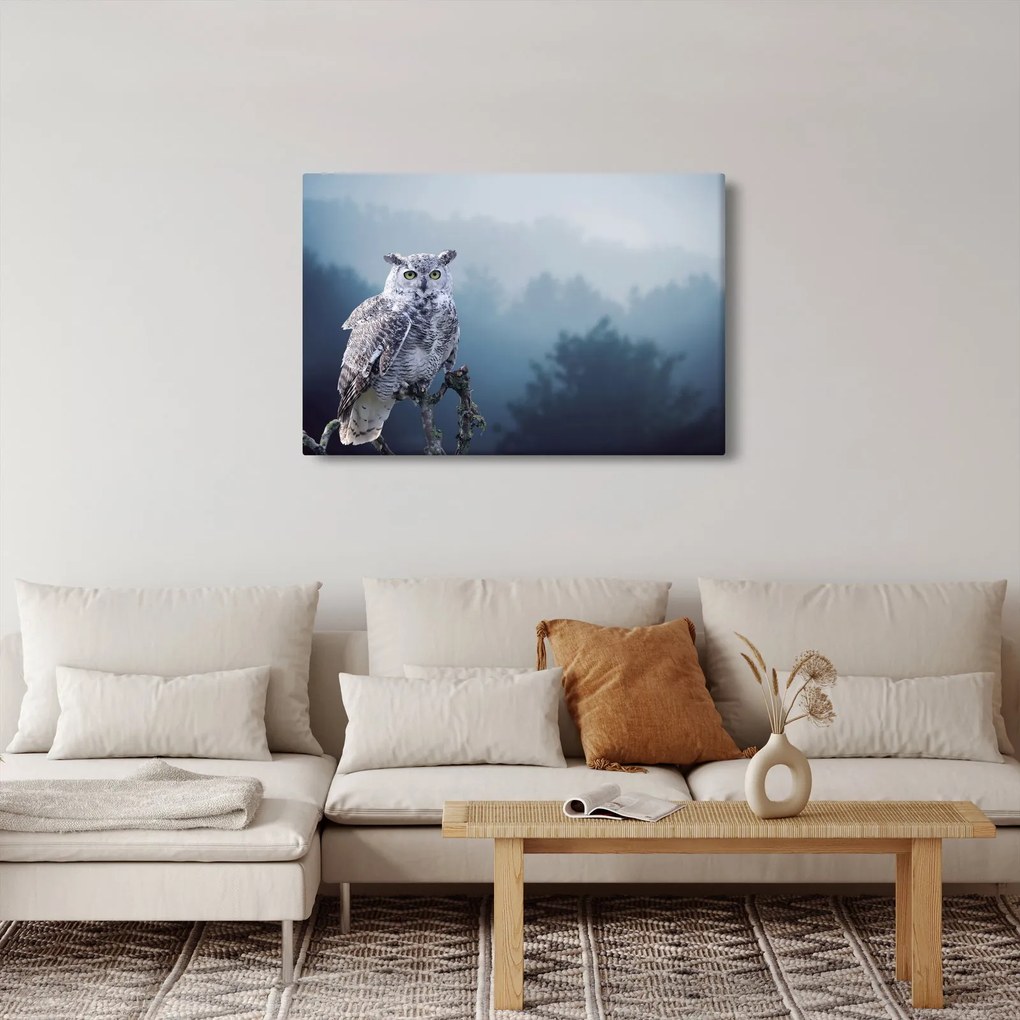 Obraz - Sova snežná (90x60 cm)