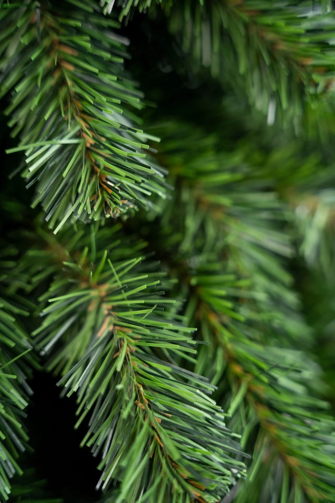 Limpol Vianočný stromček horský smrek 1,50 m