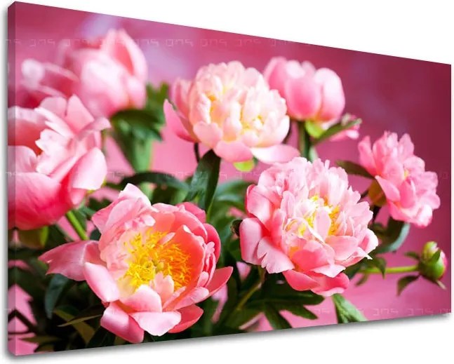 Obraz na stenu KVETY KV013E11 - 60x90 cm