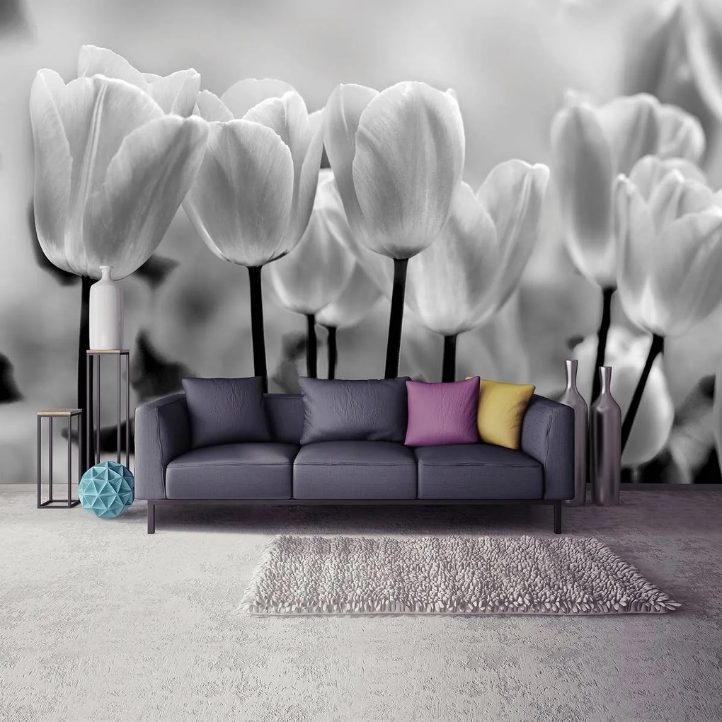 Fototapeta - Tulipány (152,5x104 cm)