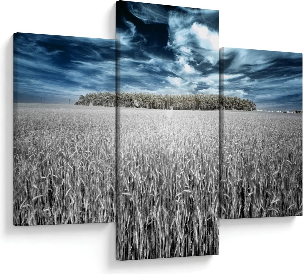 Obraz pole (90x60 cm)
