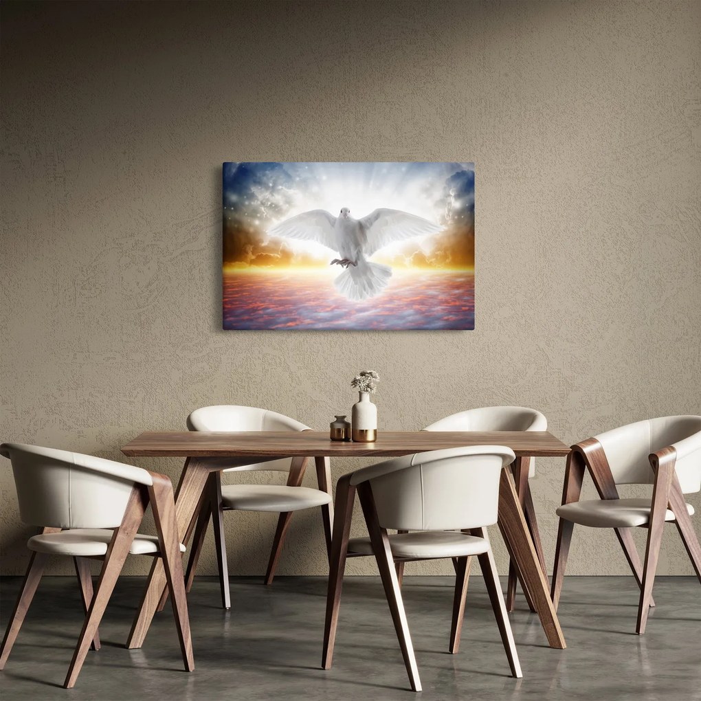 Obraz holubice (90x60 cm)