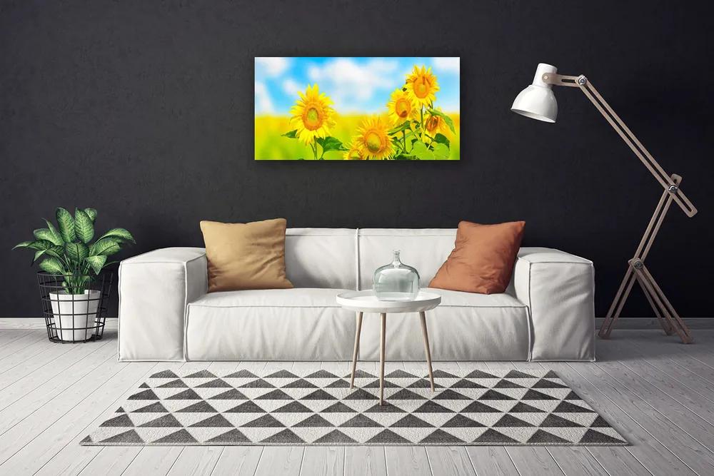 Obraz Canvas Slnečnica kvety príroda 120x60 cm