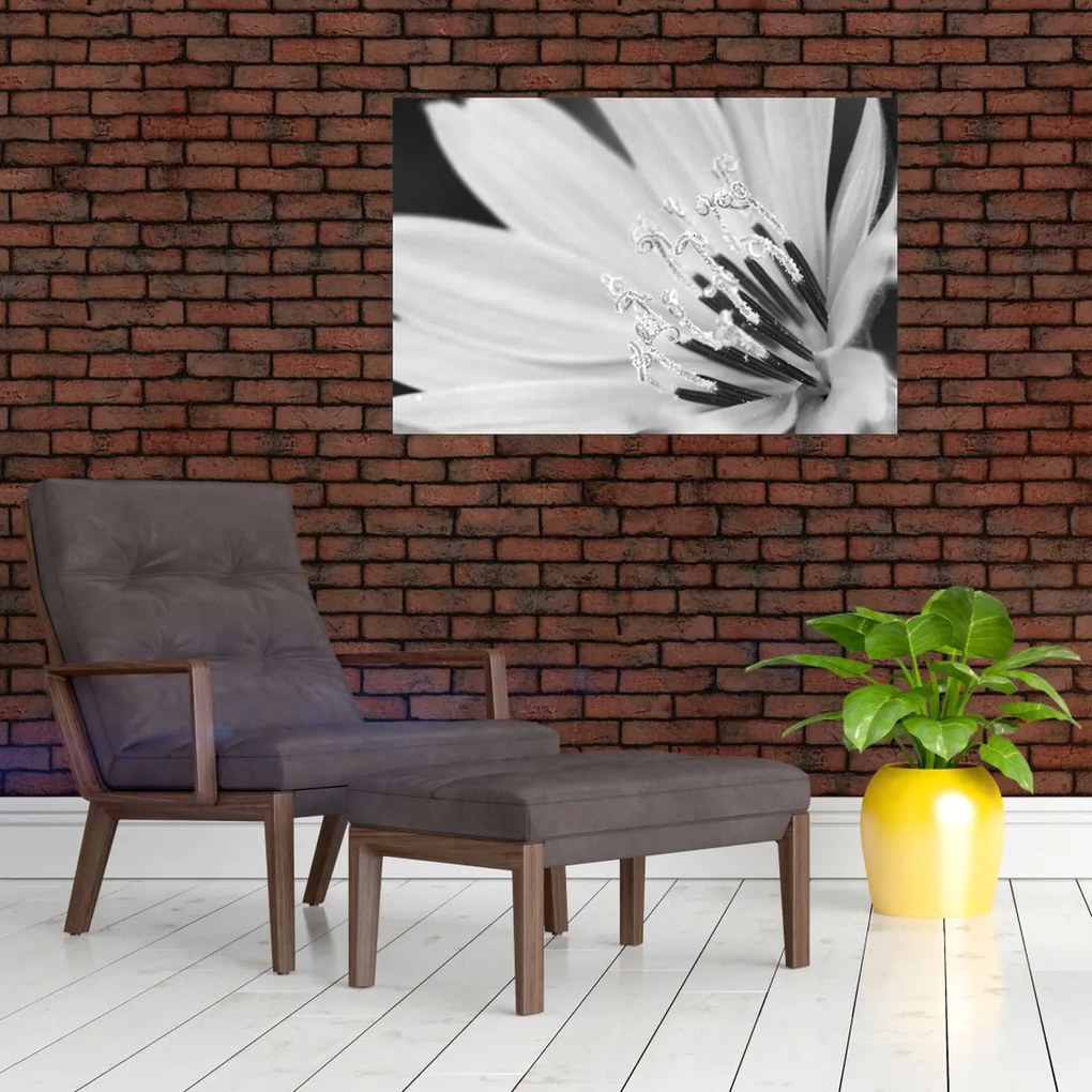 Obraz - Čiernobiely kvet (90x60 cm)