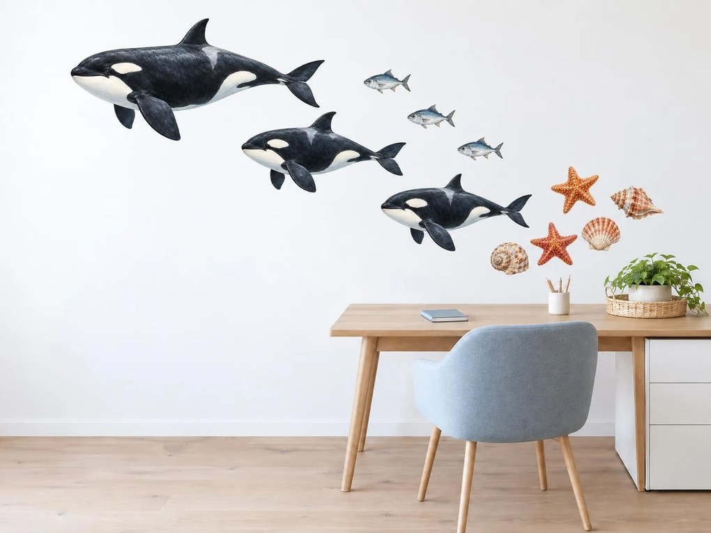Realistické kosatky a mušle realistické nálepky do obývacej izby na stenu arch 46 x 34 cm