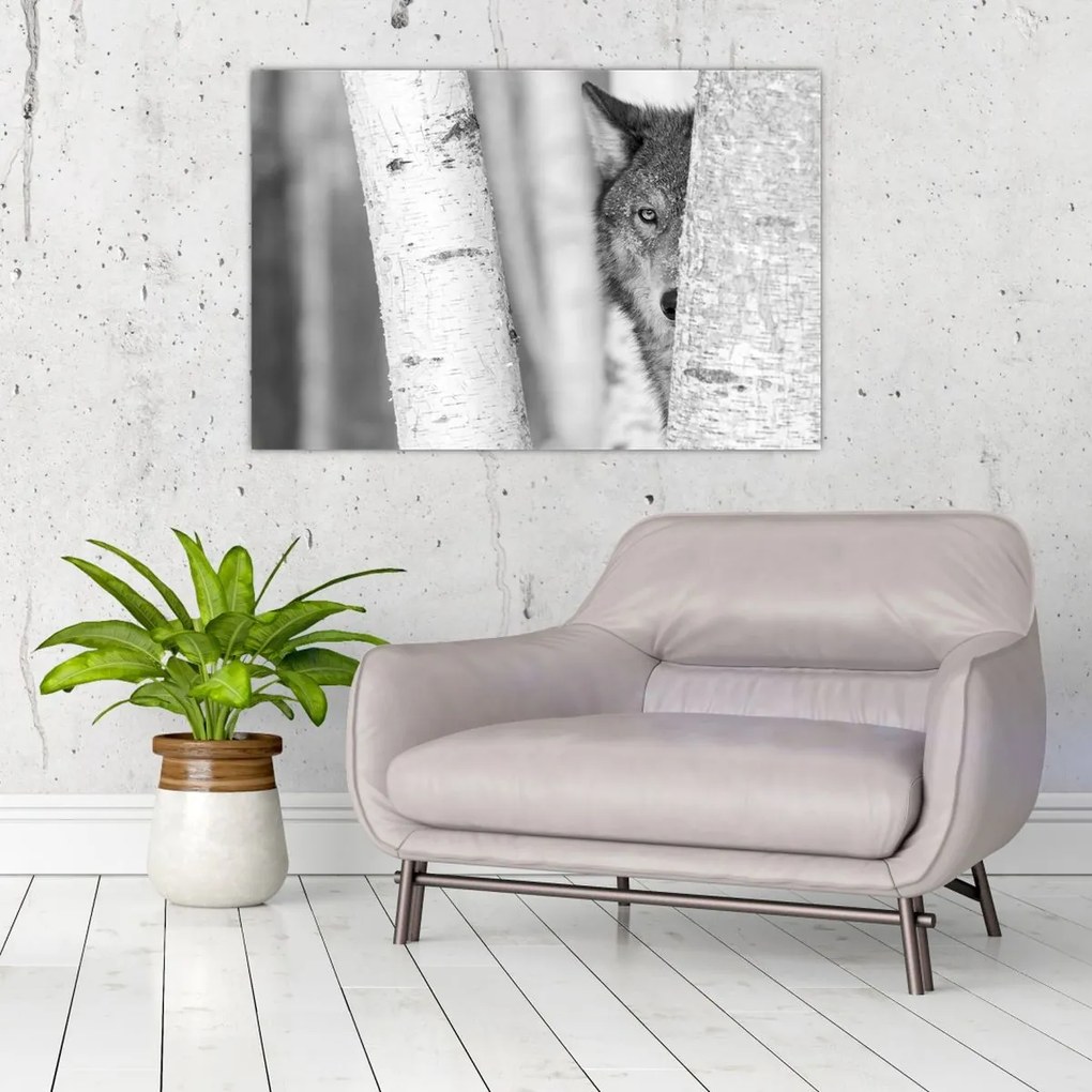 Obraz - Vlk v lese (90x60 cm)