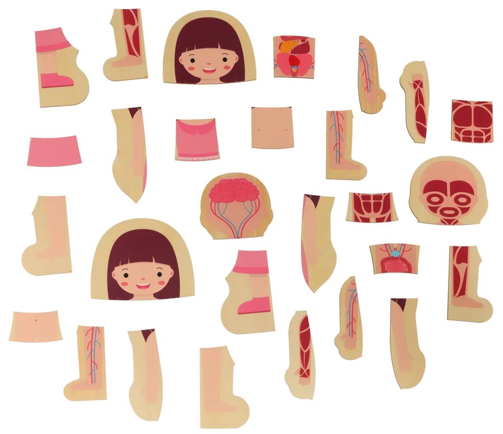 KIK Drevené vrstvené Montessori puzzle Ľudské telo – 28 dielikov, anatomické pre deti