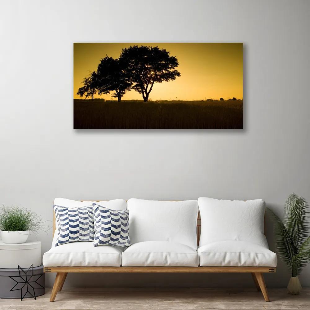 Obraz na plátne Stromy príroda rastlina 100x50 cm
