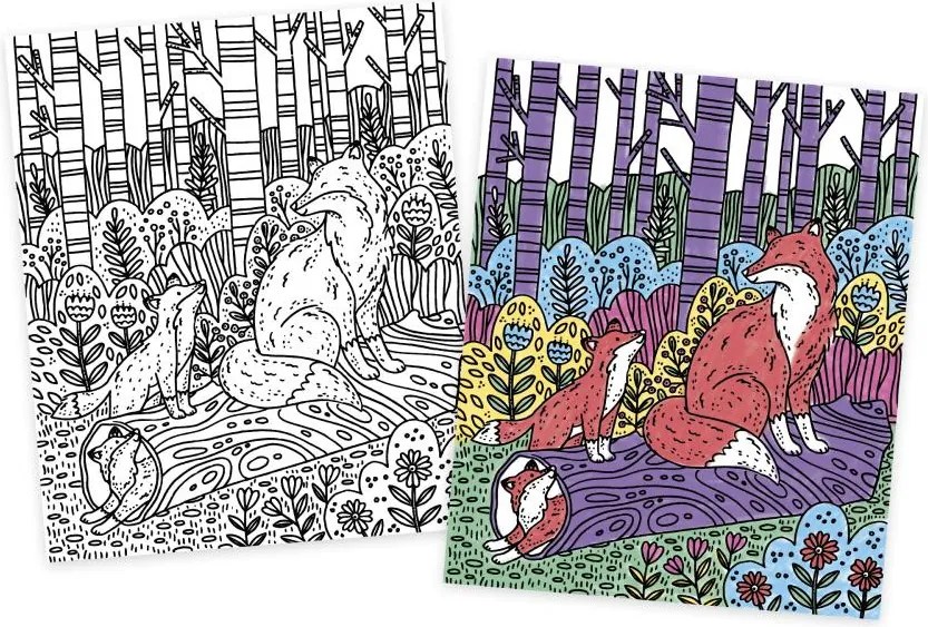 Detský ateliér maxi - magické maľovanie vodou - lesné zvieratá