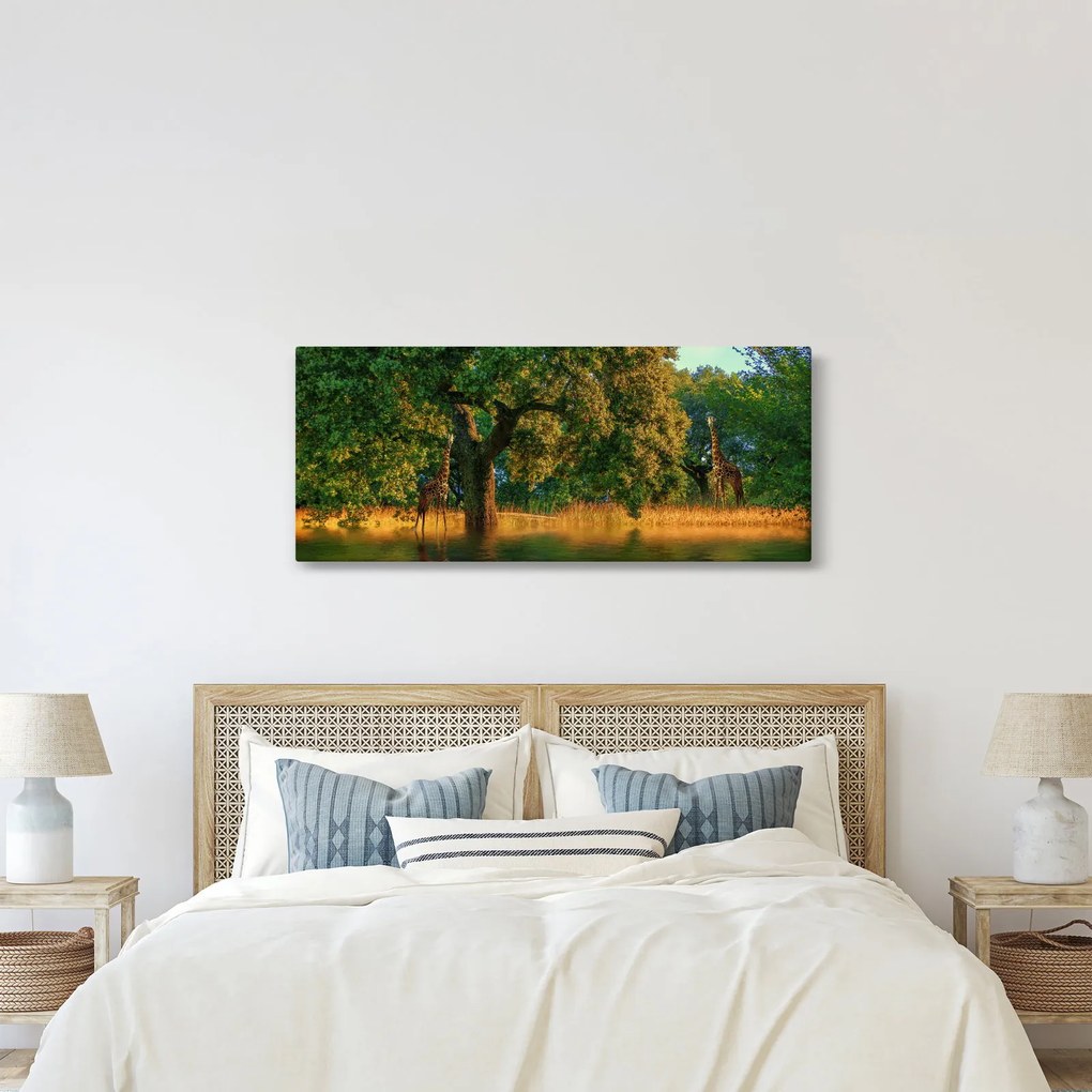 Obraz žirafy v prírode (120x50 cm)