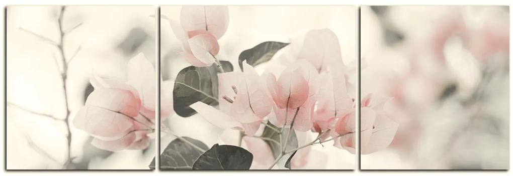Obraz na plátne - Papierové kvety - panoráma 557FC (120x40 cm)