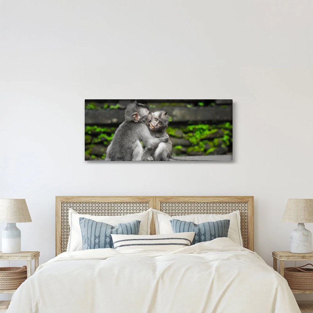 Obraz - opičky (120x50 cm)