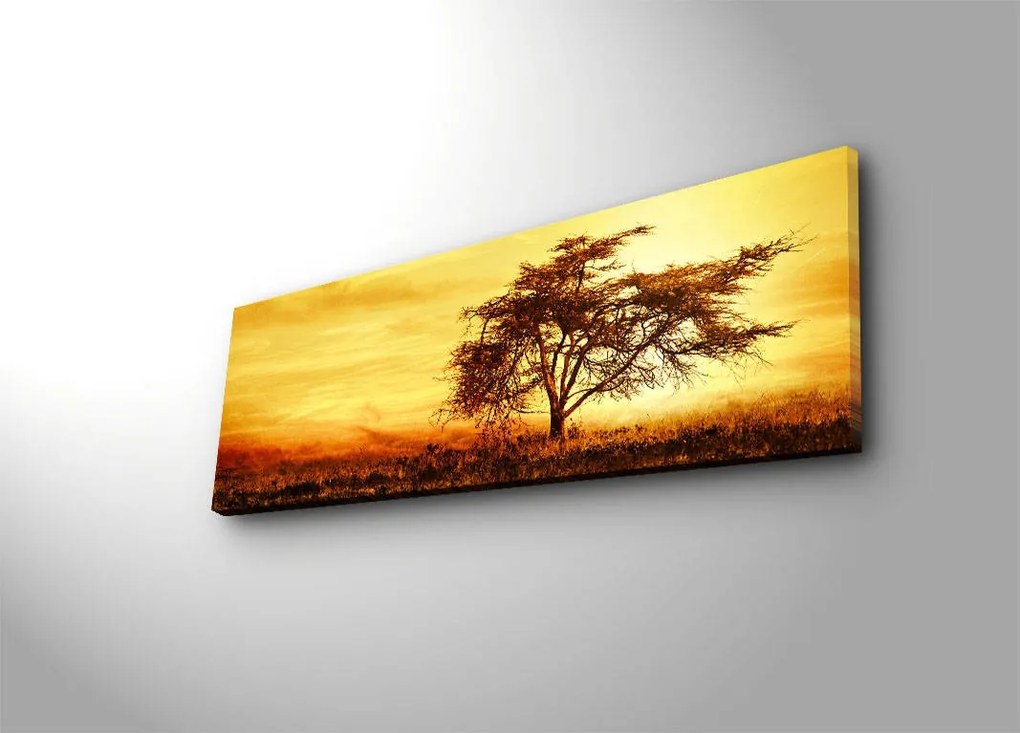 Obraz s LED osvetlením STROM V ZÁPADE SLNKA 27 30 x 90 cm