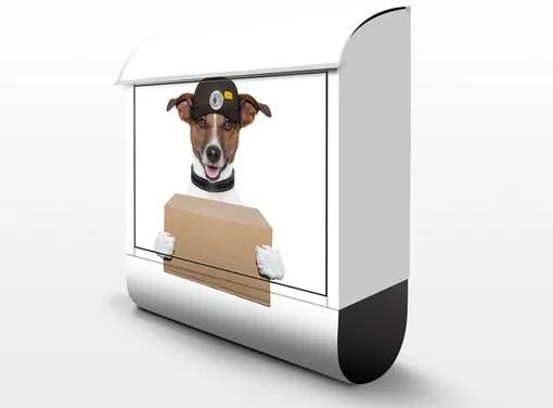 Poštová schránka Pes s krabicou