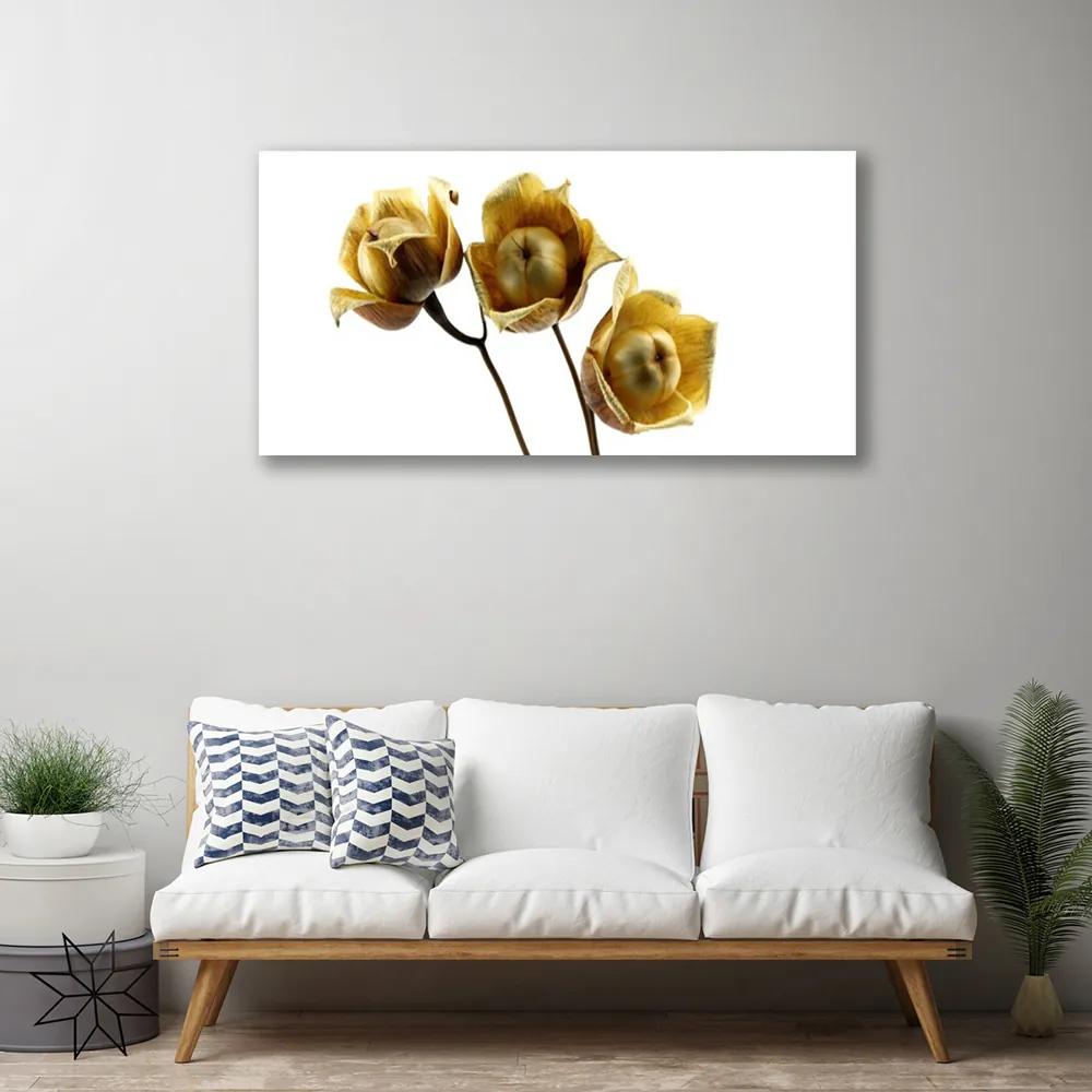 Obraz na plátne Kvety rastlina 120x60 cm