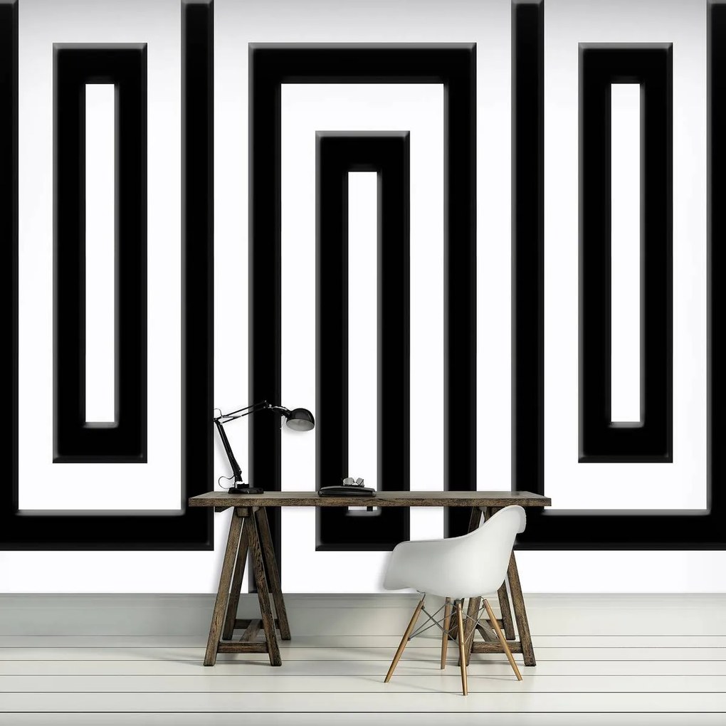 Fototapeta - Čierny a biely labyrint (254x184 cm)