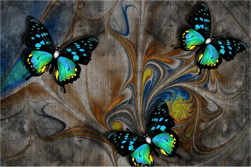 Obraz - Žiariví motýle na obraze (90x60 cm)