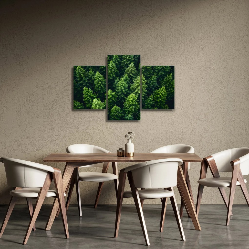 Obraz - Les (90x60 cm)