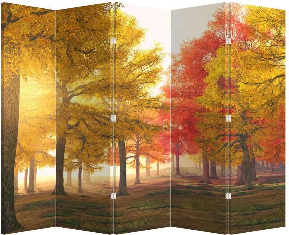 Paraván - Jesenné stromy (210x170 cm)