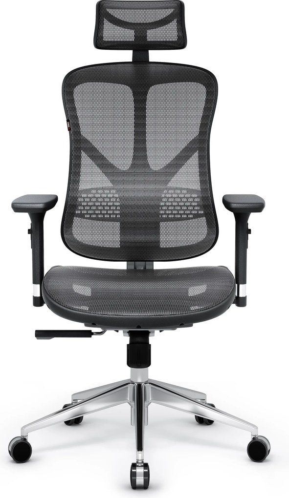 Ergonomická kancelárska stolička zo sieťoviny, čierny-sivý: Diablo V-Basic