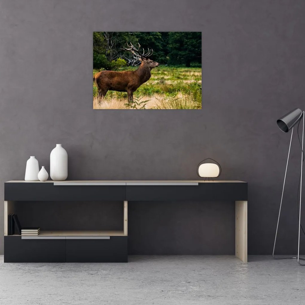 Sklenený obraz jeleňa (70x50 cm)