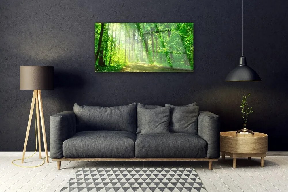 Skleneny obraz Les cestička stromy príroda 120x60 cm