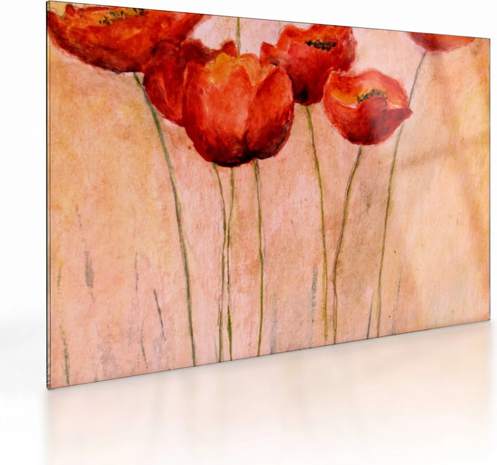 Sklenený obraz - Červené tulipány (70x50 cm)