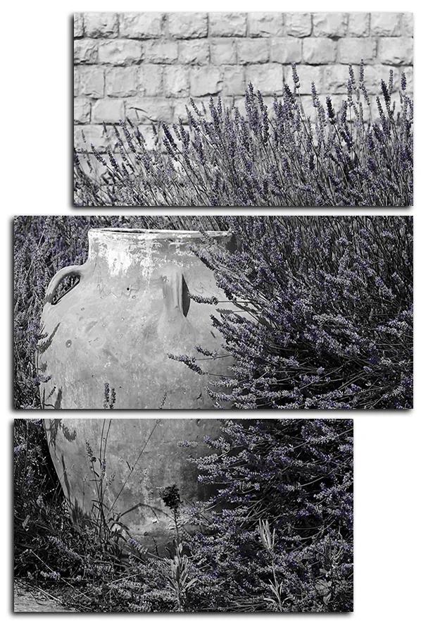 Obraz na plátne - Amfora medzi kríkmi levandule - obdĺžnik 769FC (105x70 cm)