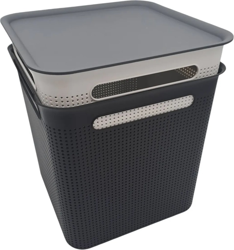Rotho Úložný box s víkem a s madly BRISEN 18l, 29x29x29cm, černý