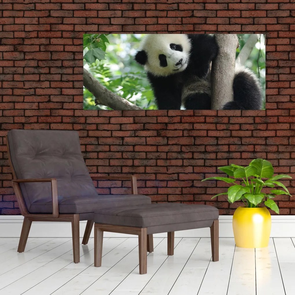 Obraz - Panda na strome (120x50 cm)