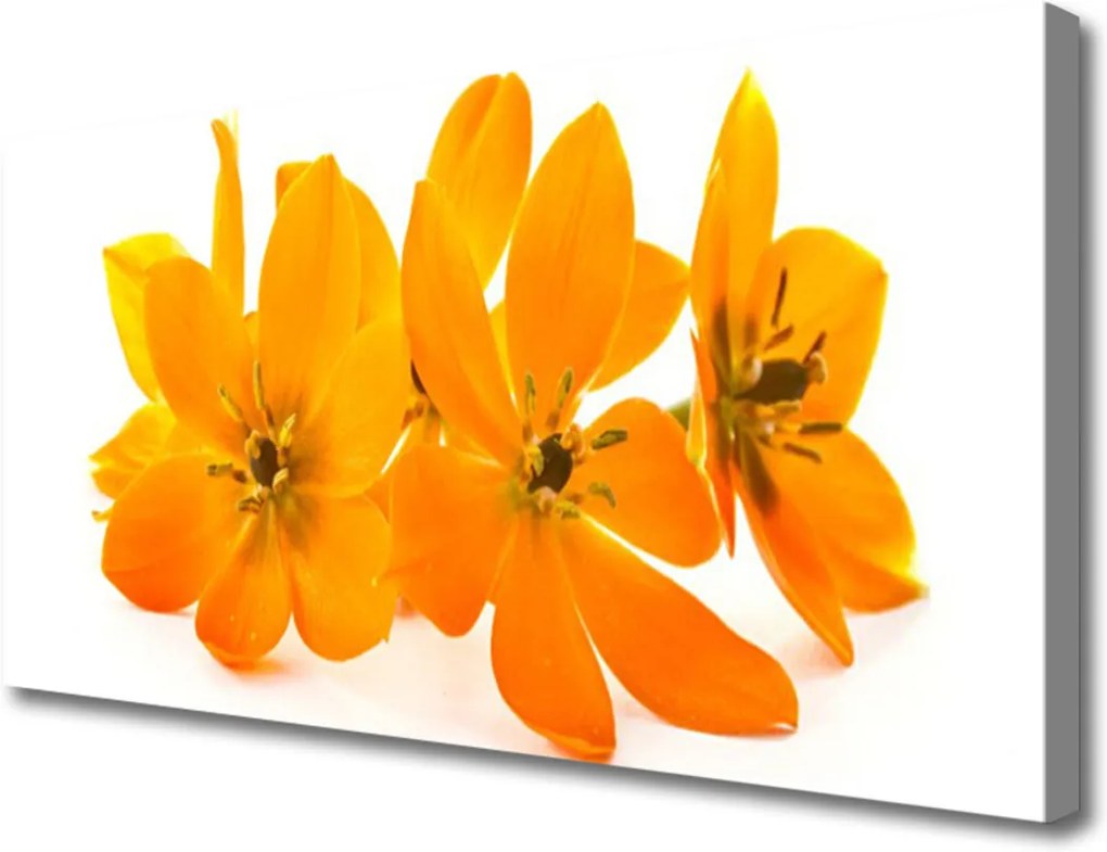 Obraz na plátně oranžové Kvety