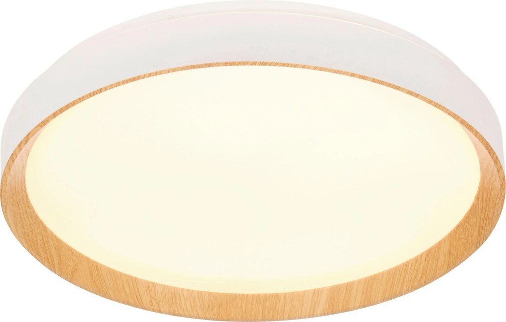 XXXLutz STROPNÉ LED SVIETIDLO, 48/8 cm Novel - Interiérové svietidlá - 006286002902