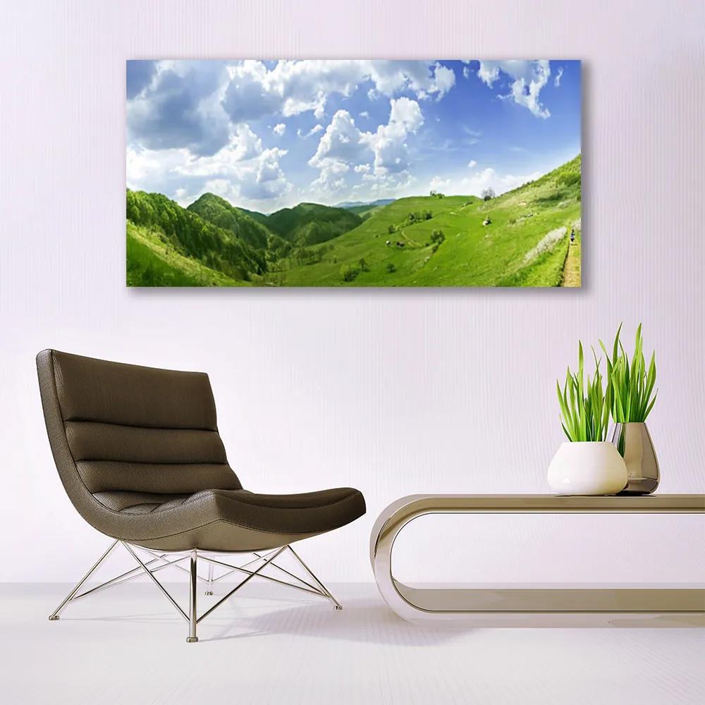 Obraz plexi Hora lúka príroda 120x60 cm