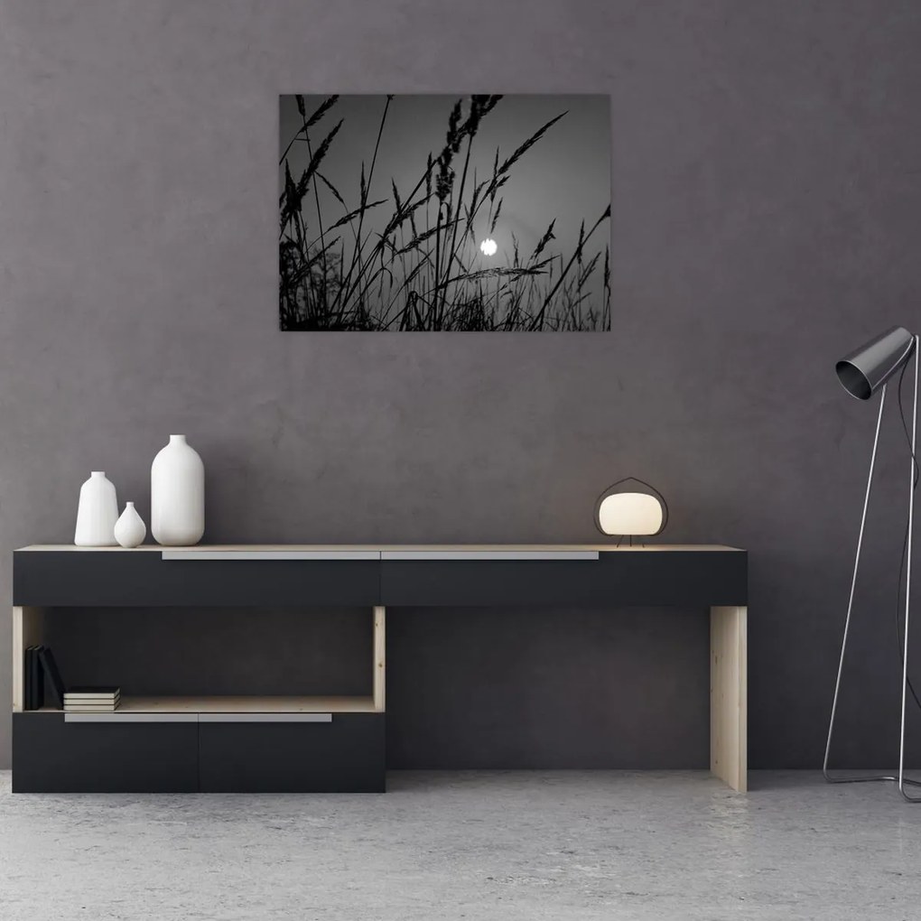 Sklenený obraz - Lúka so západom slnka (70x50 cm)