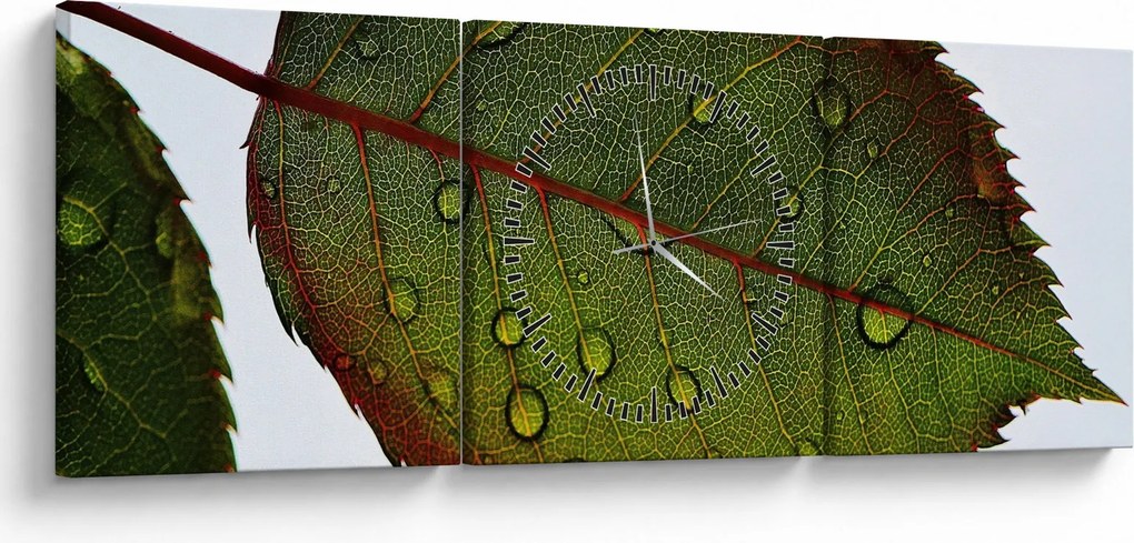 Obraz - List ruže (s hodinami) (90x30 cm)