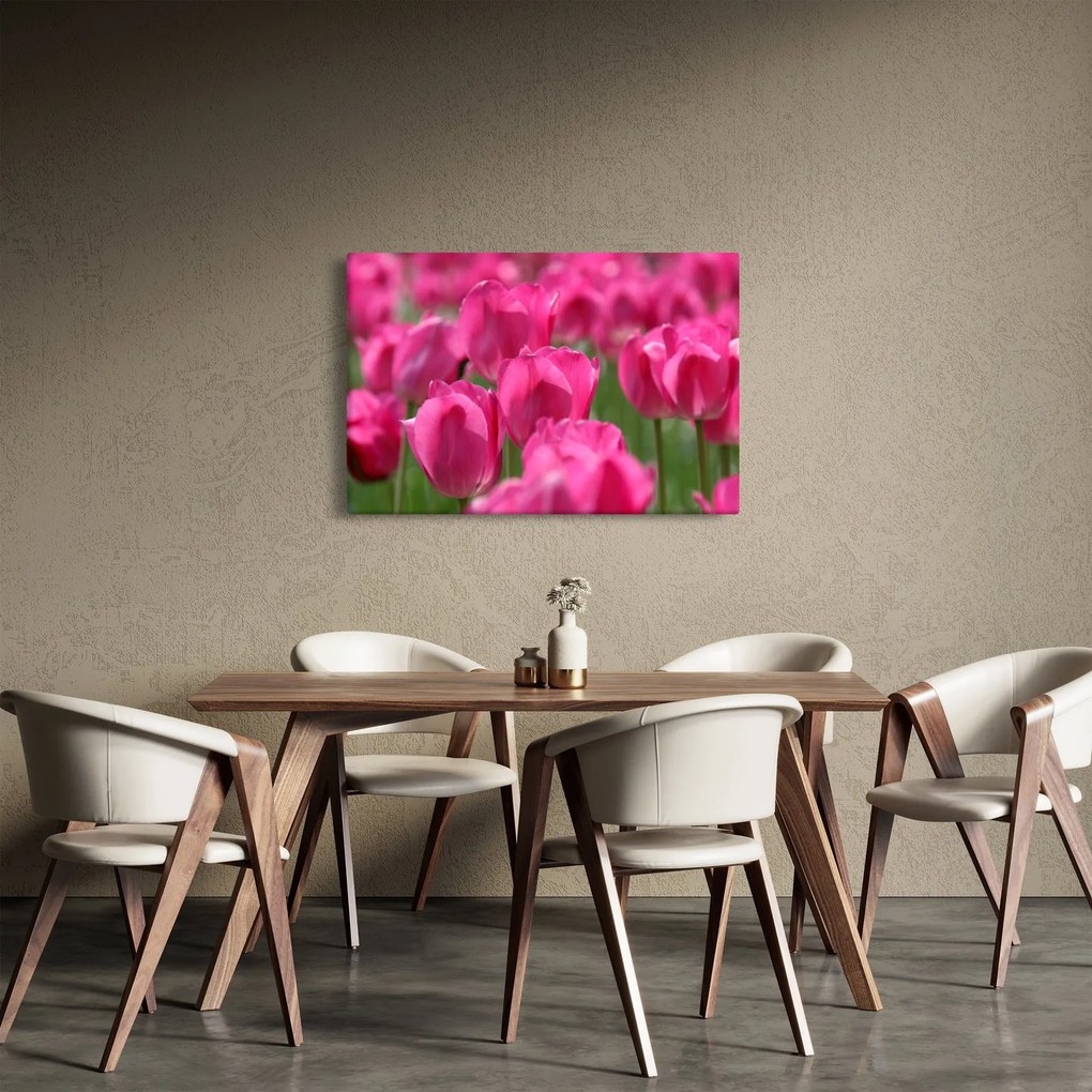 Obraz - Ružové tulipány (90x60 cm)