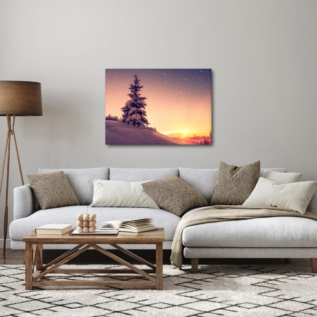 Obraz zasneženého stromu na lúke (70x50 cm)
