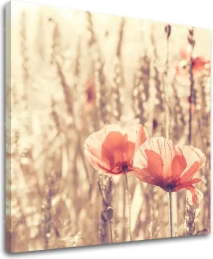 Obraz na stenu KVETY KV074E12 - 30x30 cm