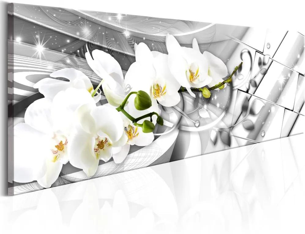 Obraz - Twisted Orchids 150x50
