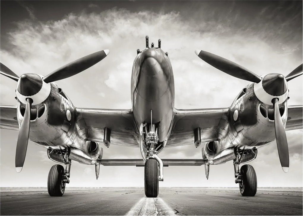 Obraz - Warbird (70x50 cm)