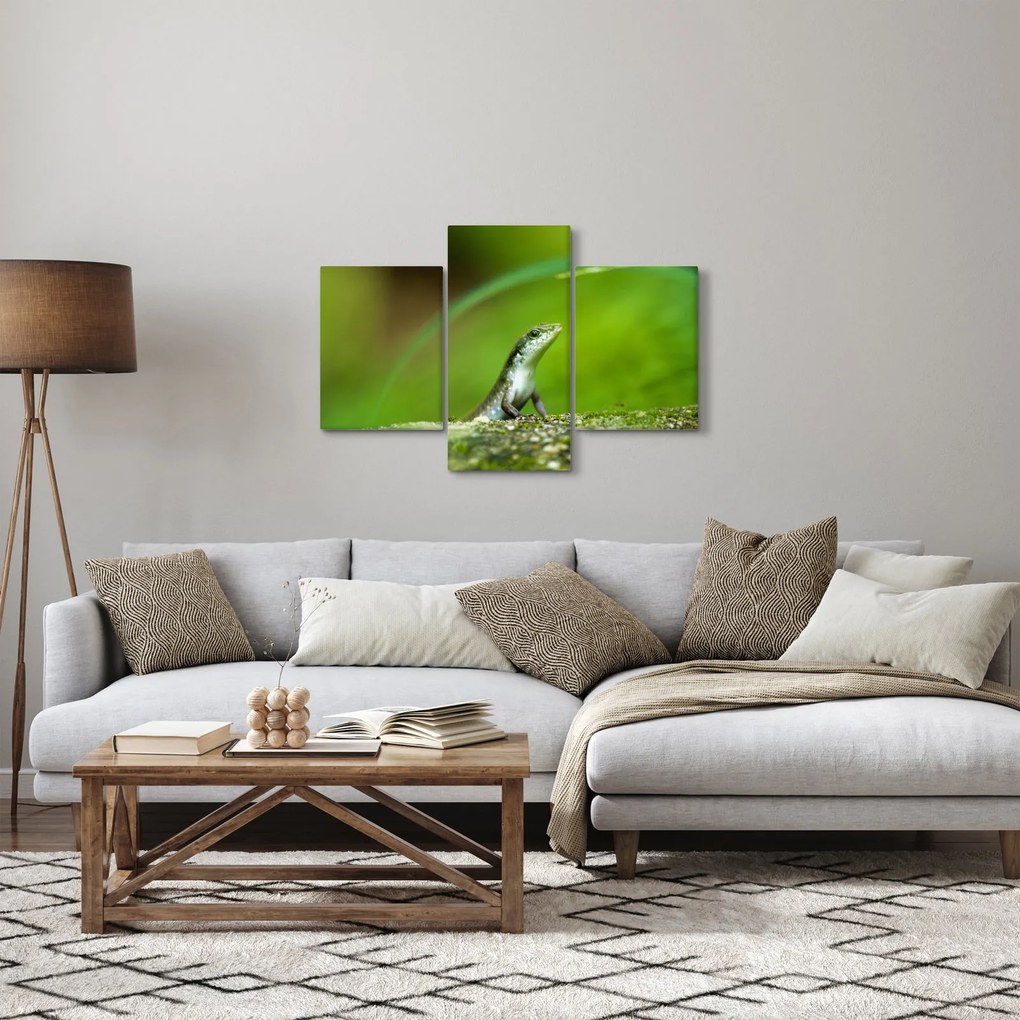 Obraz jašteričky (90x60 cm)