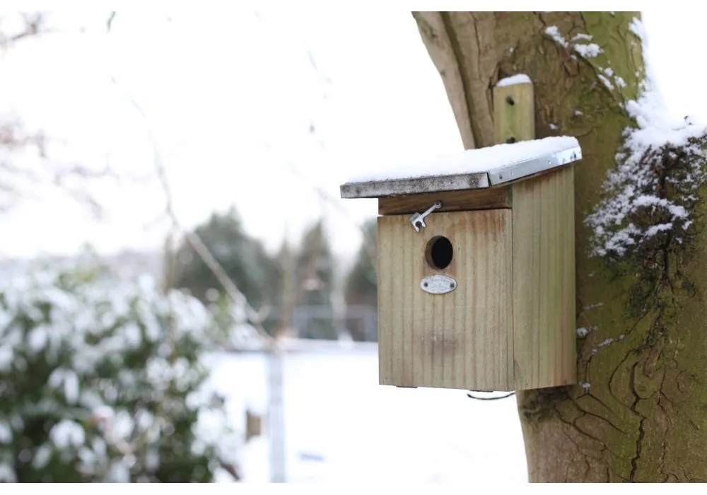 Drevená vtáčia búdka – Esschert Design