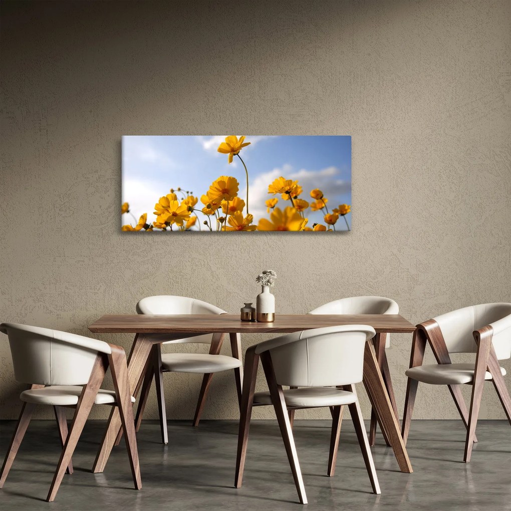 Obraz poľa s jasne žltými kvetmi (120x50 cm)