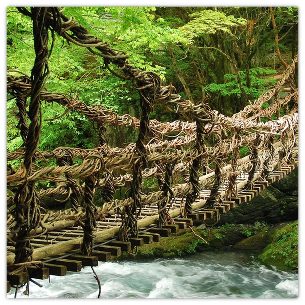 Obraz - most v prírode