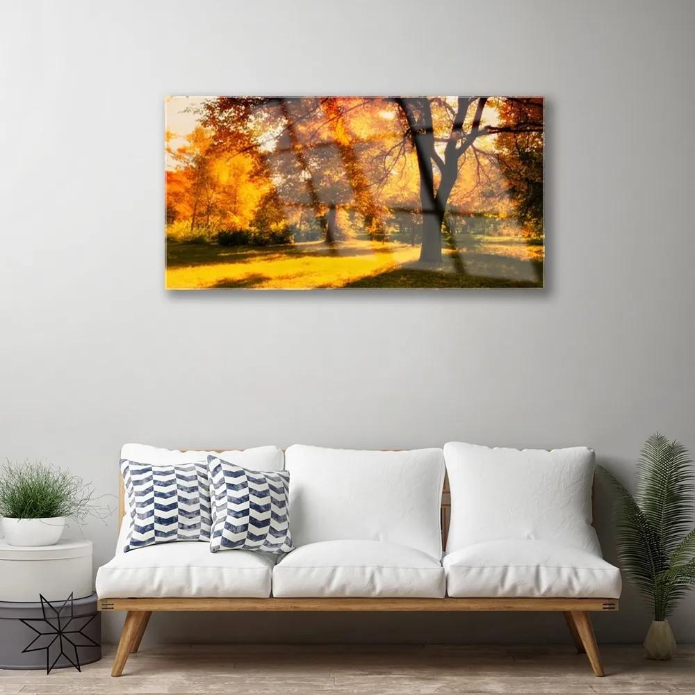 Skleneny obraz Stromy jeseň príroda 120x60 cm