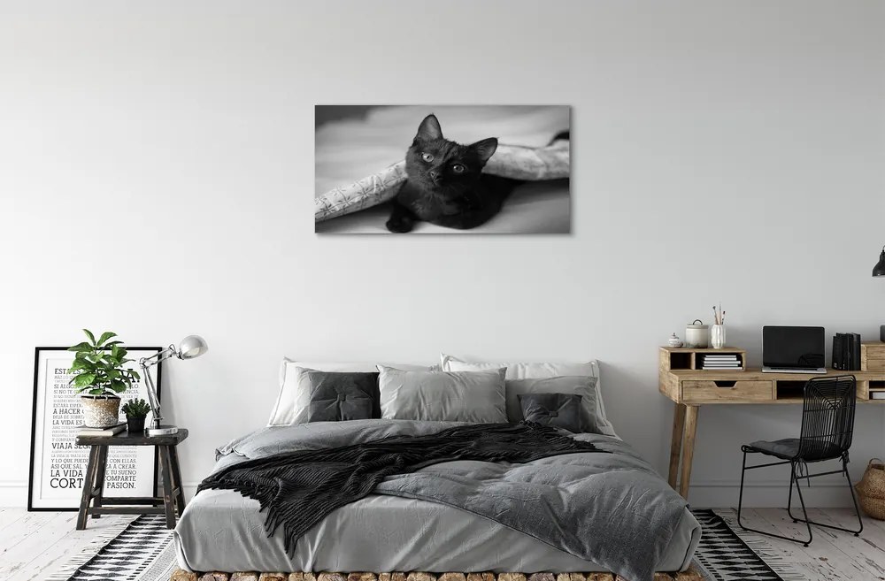 Obraz na plátne Mačka pod prikrývkou 125x50 cm