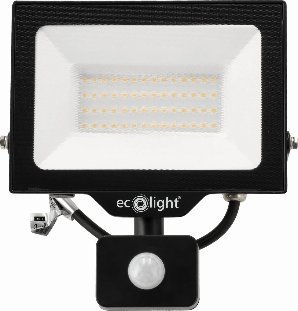 ECOLIGHT LED reflektor 50W 2v1 - studená biela