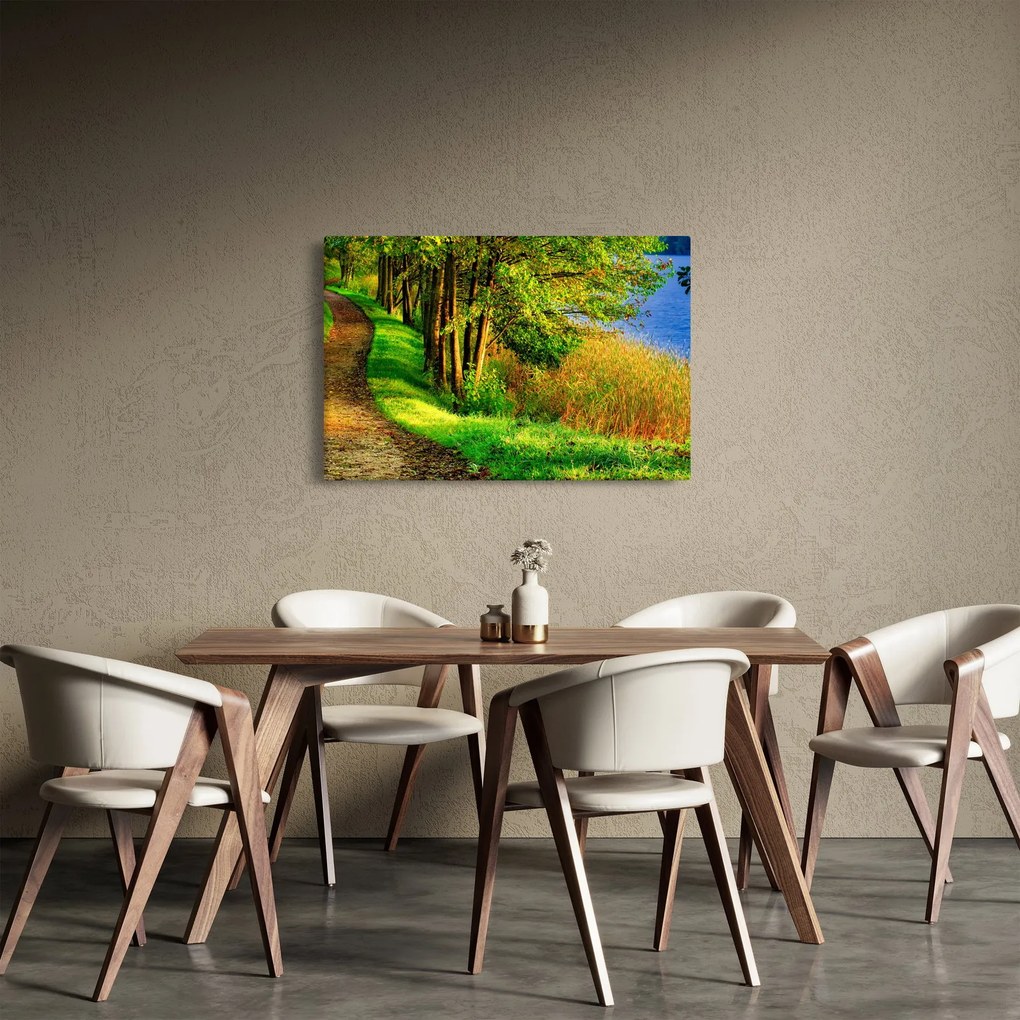 Obraz chodníky pozdĺž vody (90x60 cm)