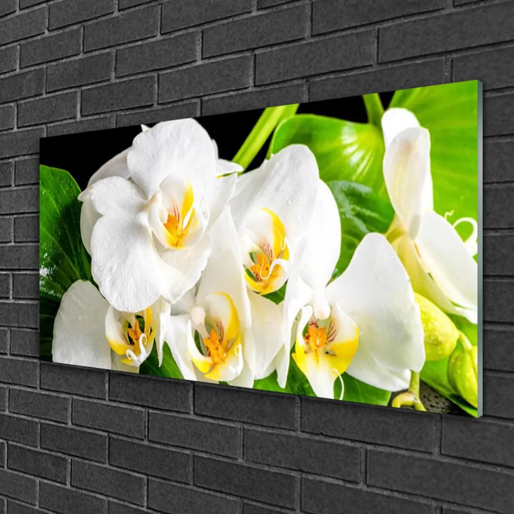 Skleneny obraz Orchidea kvety príroda 140x70 cm