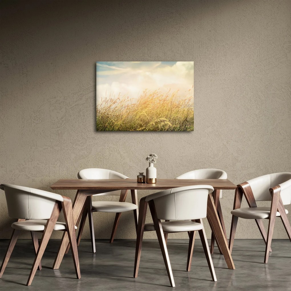 Obraz - Pole na jeseň (70x50 cm)